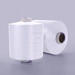 Nylon 66 FDY Ht Twisted Yarn